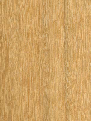 tampoi