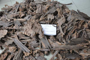 Woodchips