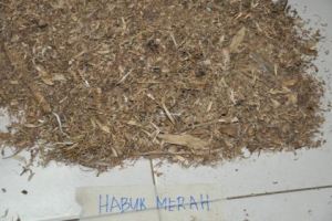 Woodsawdust